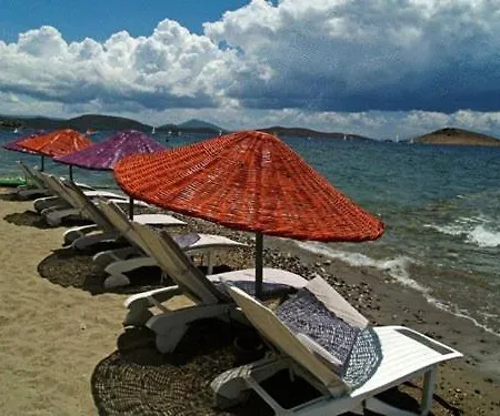 Yilmaz אורטקנט