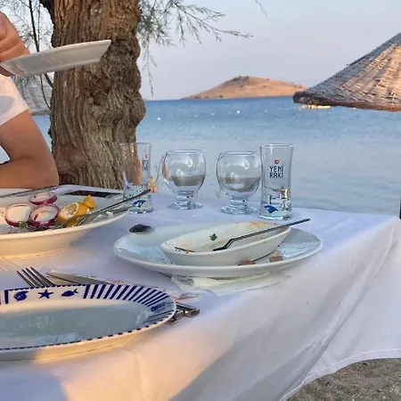 Yilmaz Ortakent