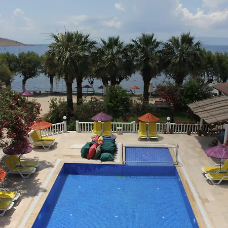 Yilmaz אורטקנט