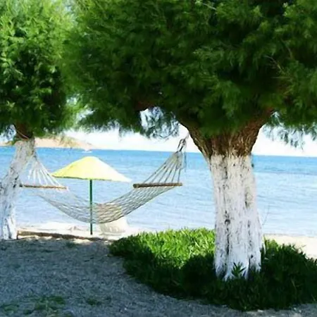 Yilmaz אורטקנט