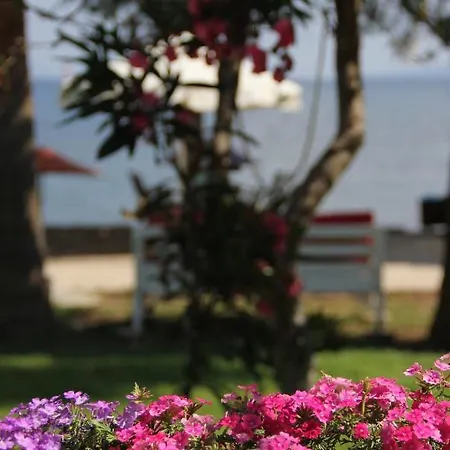Yilmaz Hotel