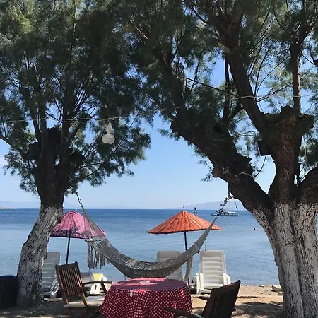 Yilmaz Hotel Ortakent