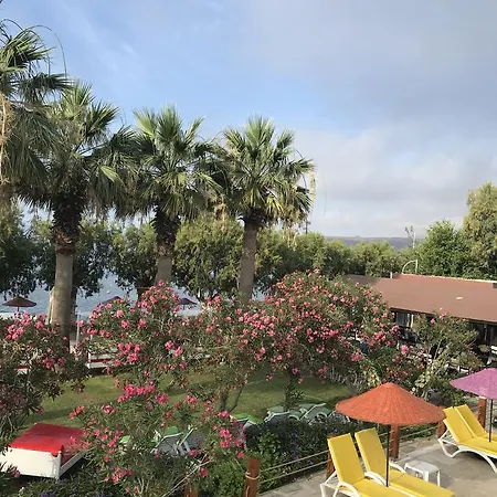 Hotel Yilmaz Ortakent