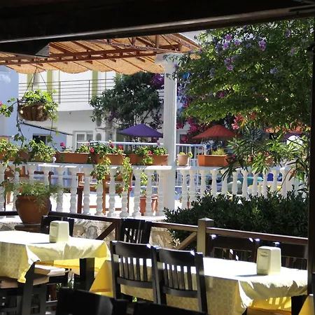 Yilmaz 2* Ortakent