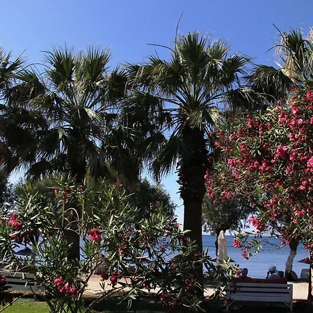 Hotel Yilmaz Ortakent