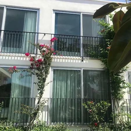 Yilmaz 2* אורטקנט