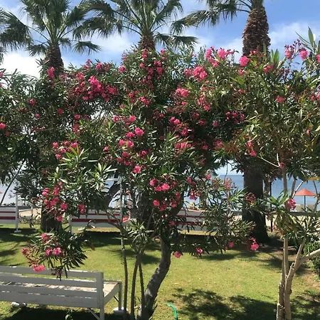 Hotel Yilmaz