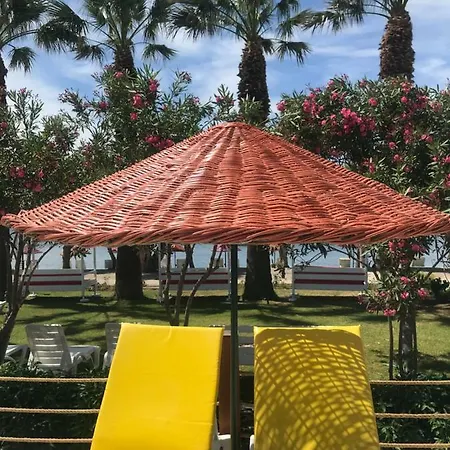 Yilmaz אורטקנט