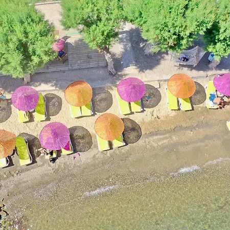 Yilmaz אורטקנט