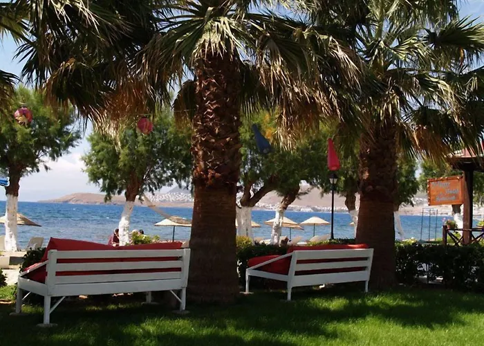 Yilmaz 2* Ортакент