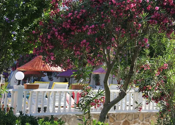 Yilmaz Ортакент