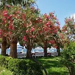 Hotell Yilmaz Ortakent