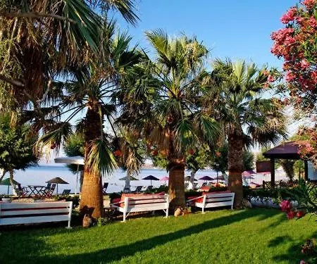 Yilmaz Ortakent