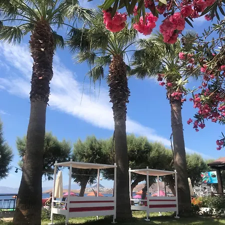 Yilmaz Otel Ortakent