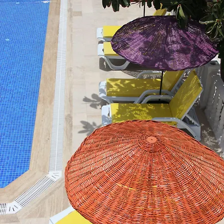 Yilmaz 2*