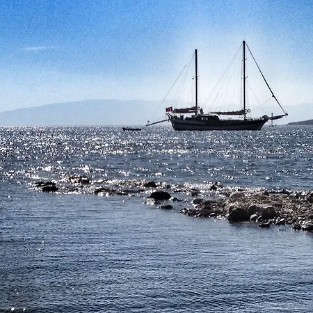 Yilmaz 2* Ortakent