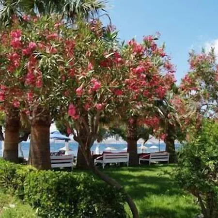 Hotel Yilmaz Ortakent