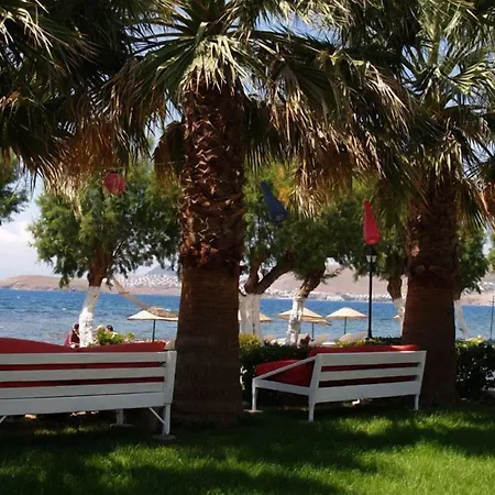 Yilmaz 2* Ortakent