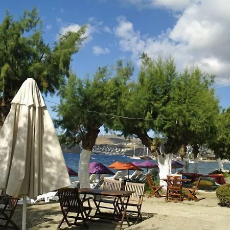Yilmaz 2* Ortakent