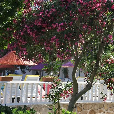 Yilmaz Ortakent