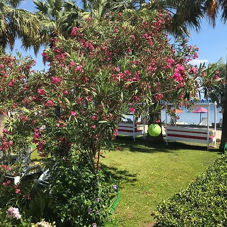 Yilmaz Hotel Ortakent