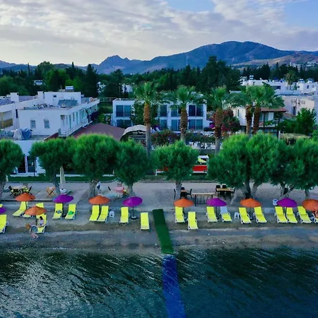 Hotel Yilmaz Ortakent