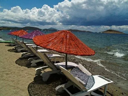 Yilmaz Ortakent