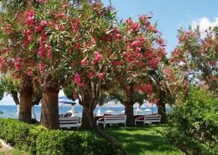 Ξενοδοχείο Yilmaz Ortakent