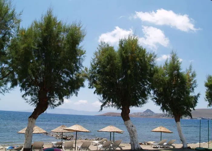 Yilmaz Ξενοδοχείο 2*