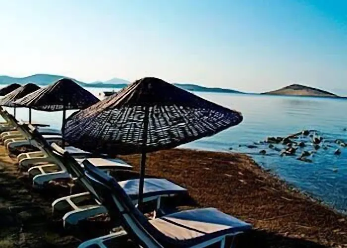 Yilmaz Hotel Ortakent