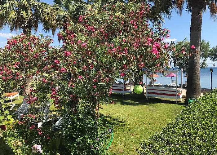 Yilmaz Ξενοδοχείο Ortakent